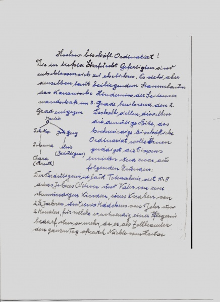 Datei:Dispens seite 1.jpg